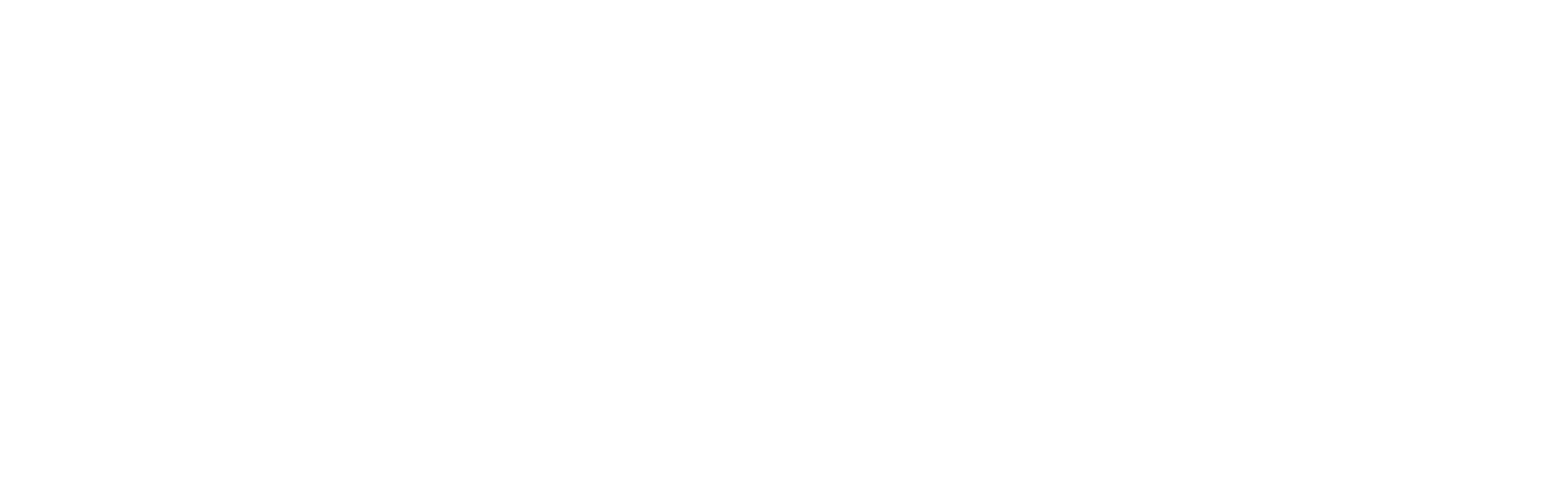 Payslip Checker